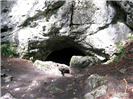 Rezerwat Zielona Góra - Wejście do jaskini