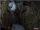 Jaskinia Szeptunow