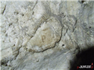 Jaskinia Szmaragdowa