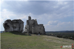 Zamek Mirów - polana obok zamku