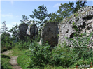 Zamek Smoleń 